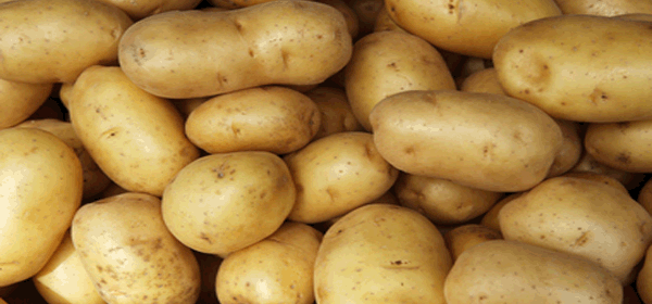 potato minitubers, potato seeds